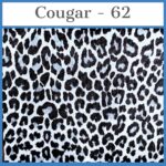 Cougar - 62